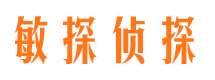 马村市侦探调查公司